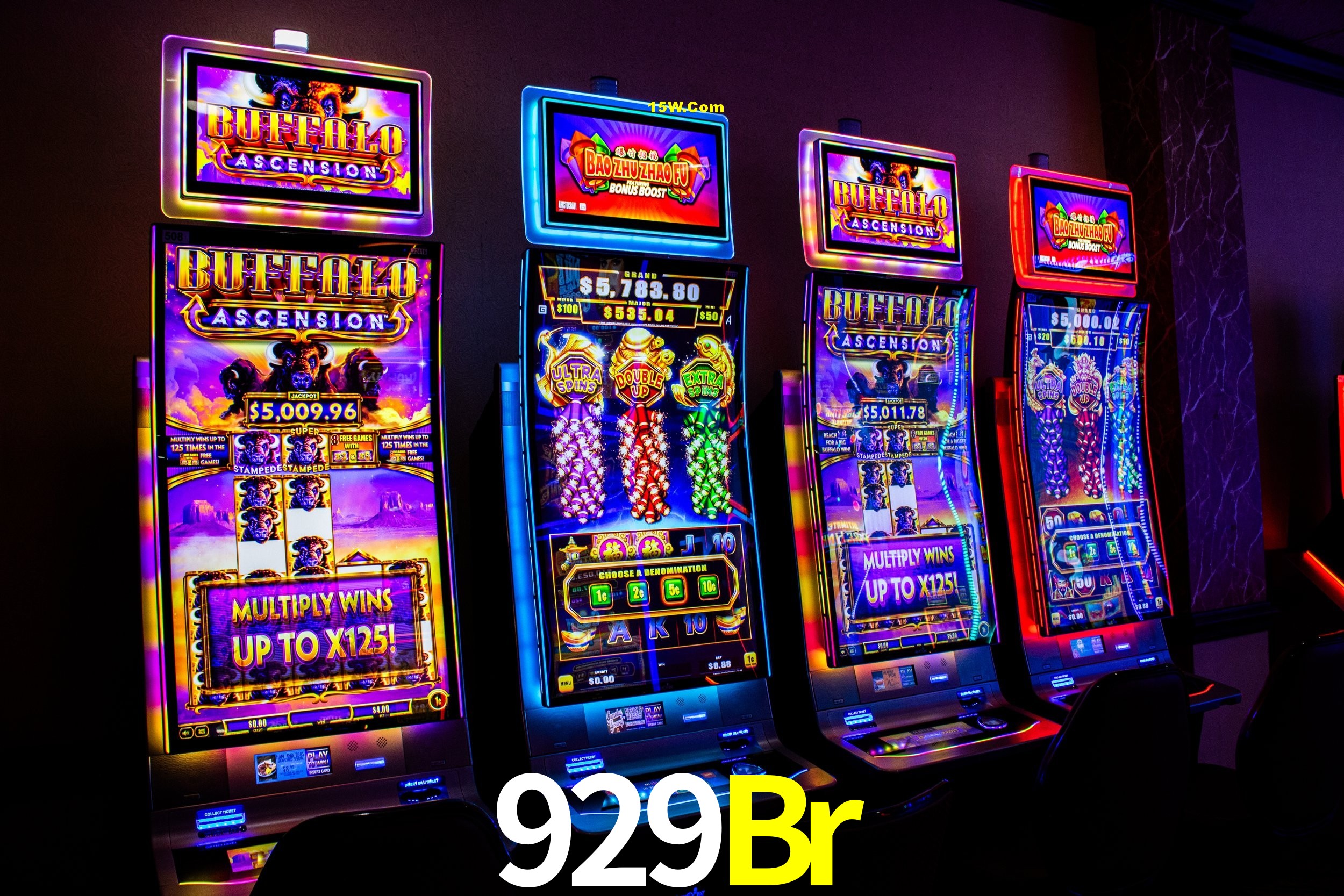 Player Reviews 929Br